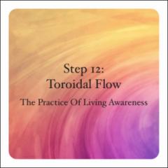 Spirit Fire Radio: The Dynamic Effects of Toroidal Flow