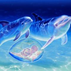 Tales from the Mer World with Ameera Beth: Exploring the Mysteries of Atlantis and Lemuria: The Return to the Water World 