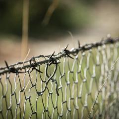 The Ally Effect with Allyson Blythe: Authentically Living Life Your way: Boundary Basics