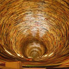 The Astral Insider Show with Fernando Albert - Your Portal for Adventure, Insight, and Growth: Now that you are out, it is time to explore. Let's visit the Akashic Records!