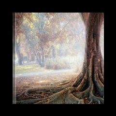 The Becoming You Show with Leah Roling: 94. Mandates of Maturity &ndash; Rules for a Fulfilling Life 