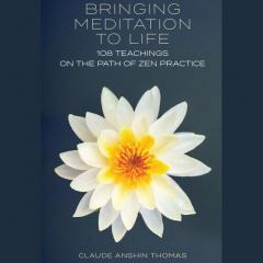 Bringing Meditation to Life: A Soldier’s Journey from War to Peace with Claude AnShin Thomas