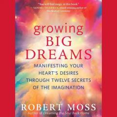 growing big dreams with author robert moss on the christine upchurch show