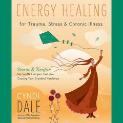 energy healing for trauma stress and chronic illness by cyndi dale guest on the christine upchurch show