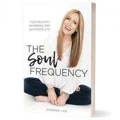 the soul frequency by author shanna lee guest on the christine upchurch show