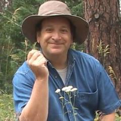 The Dr. Diane Show: Revolutionary Expansion of Mind, Body, and Soul: Dr. Diane Interviews Steven Frank on the Power of Herbs and Supplements