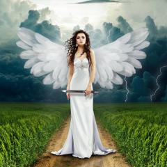 The Dr. Pat Show, Dr. Pat Show, Dr. Pat, Dr. Pat Baccili, Transformation Talk Radio, transformation, crustbusting, Sue Storm