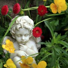 Sue Storm, The Angel Lady, The Dr Pat Show, Dr Pat Show, Dr Pat, Pat Baccili, Transformation Talk Radio, transformation