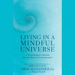 The Dr. Pat Show: Talk Radio to Thrive By!: Living in a Mindful Universe: A Neurosurgeon&rsquo;s Journey into the Heart of Consciousness with Dr. Eben Alexander 