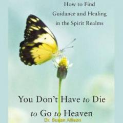 The Dr. Pat Show: Talk Radio to Thrive By!: You Don't Have to Die to Go to Heaven with Author Dr. Susan Allison