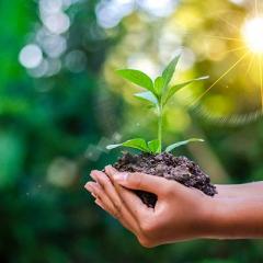 The Ecosystem Approach&trade; Show with Jason & Patricia Rohn: A revolutionary way to infinite potential!: Earth Day Show part 1 - unbelievable perspective! 
