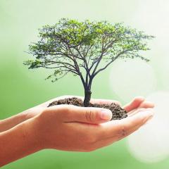 The Ecosystem Approach&trade; Show with Jason & Patricia Rohn: A revolutionary way to infinite potential!: Health part 3 - contrasting traditional and alternative medicine and how to heal with both!