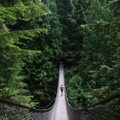 The Ecosystem Approach&trade; Show with Jason & Patricia Rohn: A revolutionary way to infinite potential!: Ultimate Adventure - everyone should do but most won&rsquo;t!
