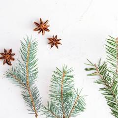 The Empower Me Show with Pam Bright: A Spiritual Toolbox for Your Life: Happy Holidays from Pam and David!