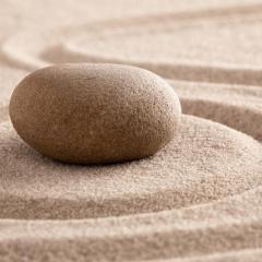 The Empowered Living Zone&trade; with Dr. A: You Are Meant for More!: Episode 13. Title:     What Is All this Buzz about Mindfulness?