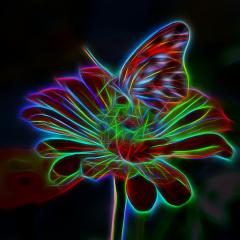 The Dr. Pat Show, Dr. Pat Show, Dr. Pat, Pat Baccili, Transformation Talk Radio, transformation, Dr. Sharon Martin