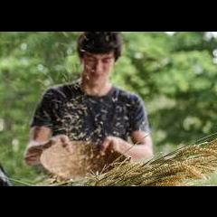 The Healing Hour with Dr. Sharon Martin: Bridging the Mystical & Scientific&trade;: Wheat from the Chaff &ndash; Finding What Really Matters