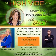 The High Vibe Show with Elisa V: Livin' the High Vibe Life!: High VIBES at Work: Cultivating High VIBE​&trade; Wellness and Success in Your Professional Life with Jay Matta