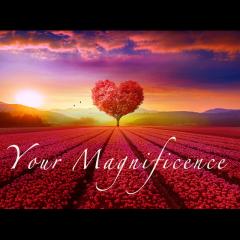 The Kornelia Stephanie Show: The Millionaire Imprint for Women: Your Magnificence meets your Money.