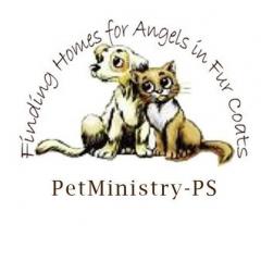 Laura Meeks, Ginny Weissman, Fly High Radio