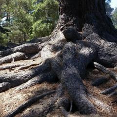 The OM Show with Tanya Butson: Be All That You Are: Ground Yourself