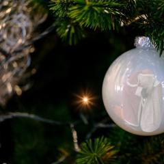 the psychic and the doc on transformation talk radio - mark anthony and dr pat baccili