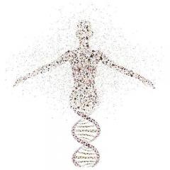 awaken to your truth with charan surdhar and colette marie stefan on transformationtalkradio.com