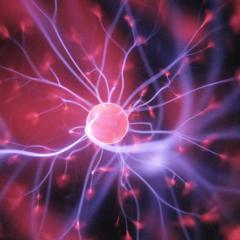 colette marie stefan the truth is funny radio