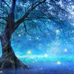 dream consciousness with kelly lydick and colette marie stefan