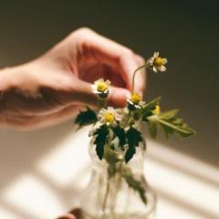 The Truth is Funny Radio.....shift happens! with Host Colette Marie Stefan: Guest host Karen Betten welcomes special guest Katie Hess: The Power of Plant Based Alchemy 