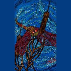 your body is your temple - the truth is funny with colette marie stefan on transformation talk radio