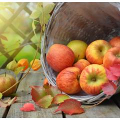 Vibrant Voices with Christine Vibrant: nourishing naturally healthy living: Mind your apple, Adam!