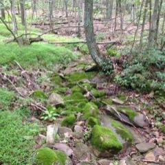 Your Juicy Love with Una Drake: The #1 Reason Relationships Fail&hellip; and How Listening From the Four Directions Can Reveal a Path Forward with Ben Goldman