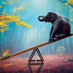 iShft Happens with Leah & Cari: Discover the Leader Within: 29. The Hidden Filters Controlling Your Life (And How to Reprogram Them)